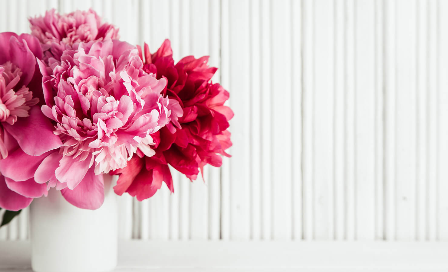 5 Reasons To Send Peonies To Your Loved Ones in Malaysia