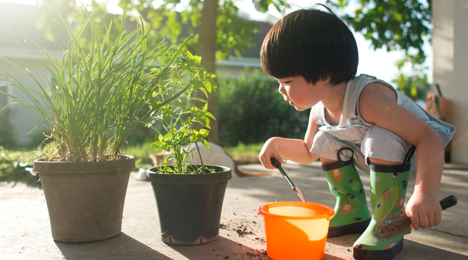 Top 10 Baby-Friendly Plants