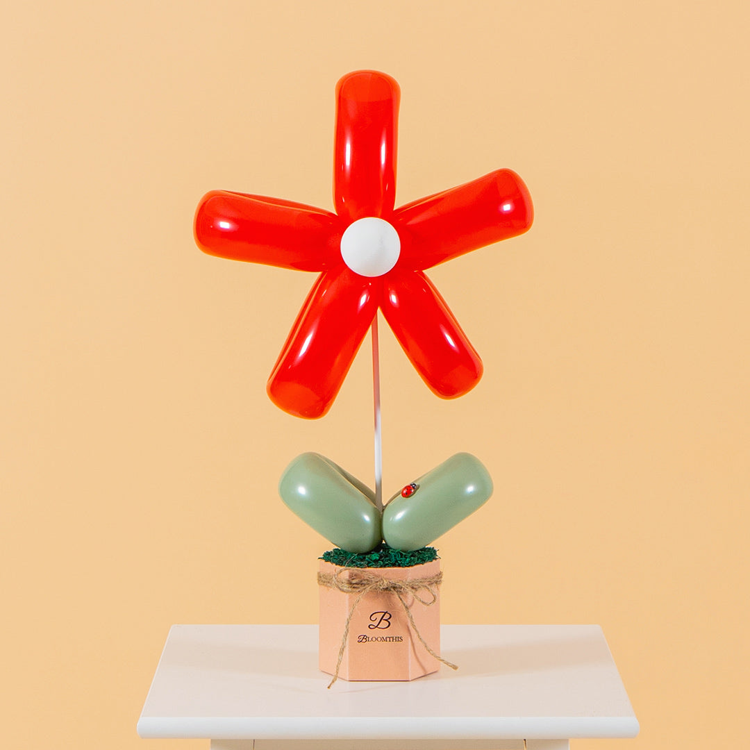 Red Daisy Balloon Box (AO) | Free Delivery | Bloomthis
