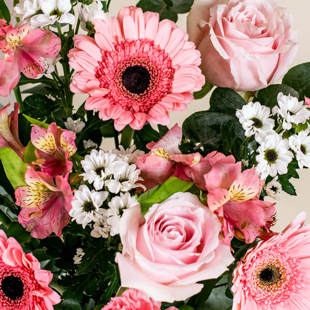 Nadine Pink Carnation BloomBag