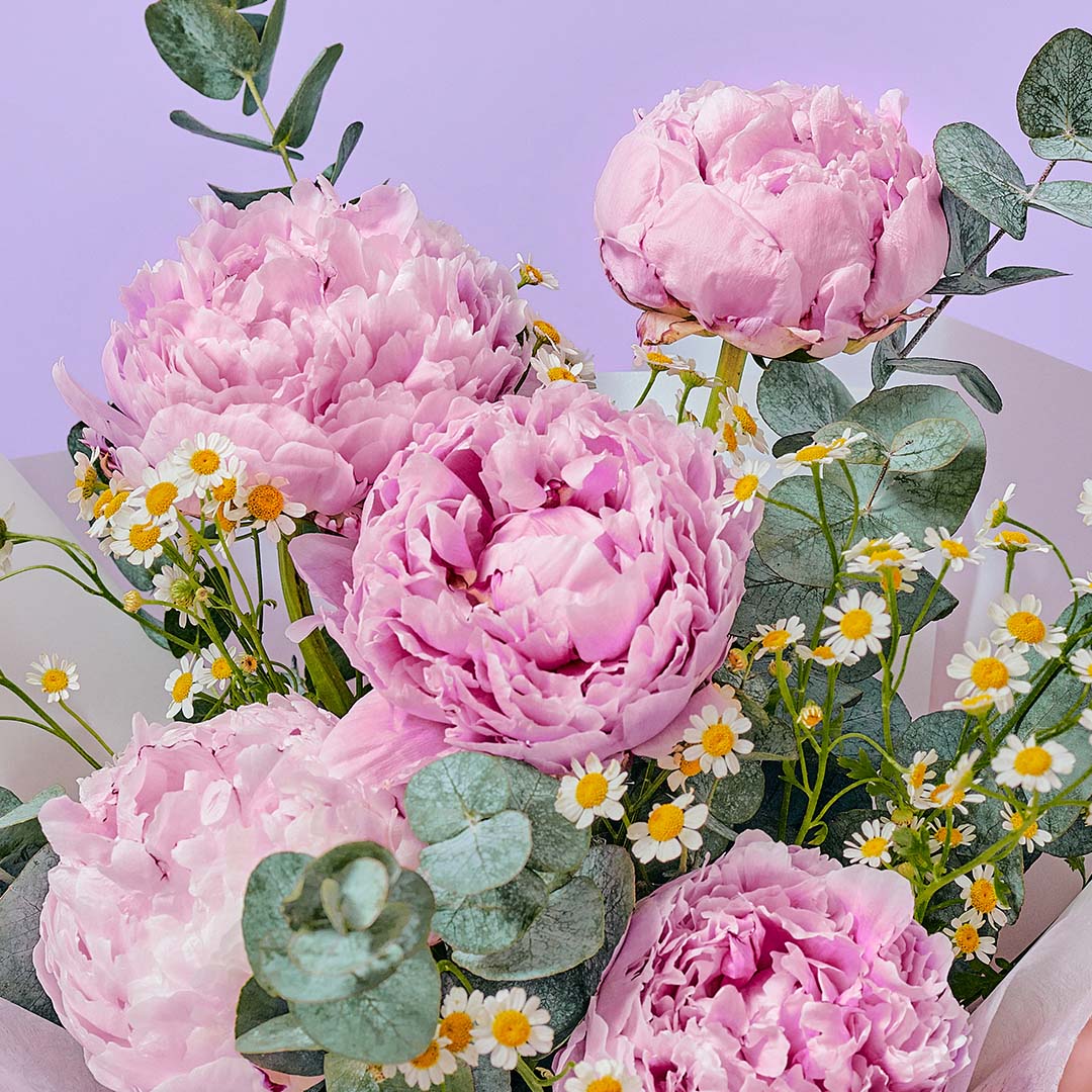 bloomthis-bouquet-alya-pink-peony-bouquet-1080x1080-03_300d53d3-6af0-47b2-917b-f6b740fbfb97