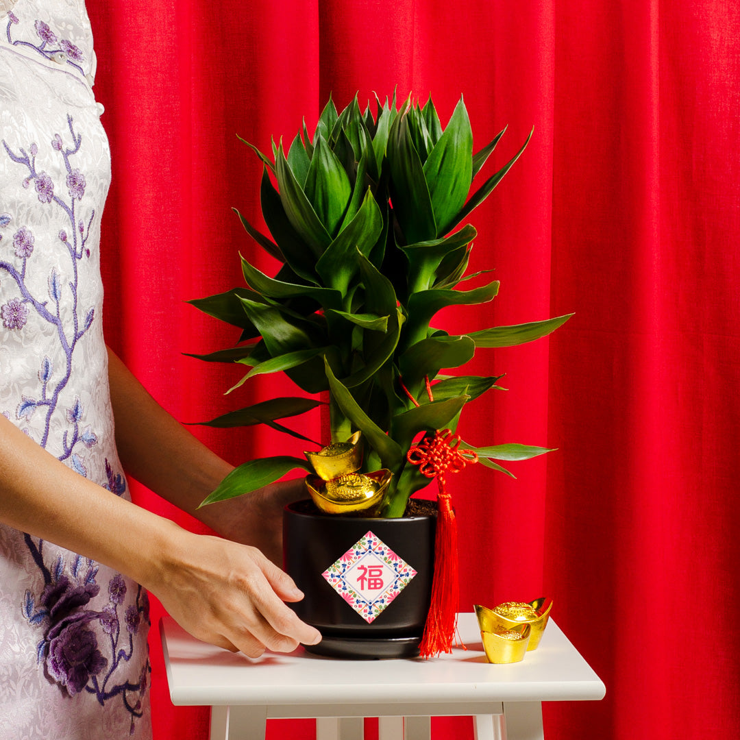 chinese new year flower gift chinese new year flower gift