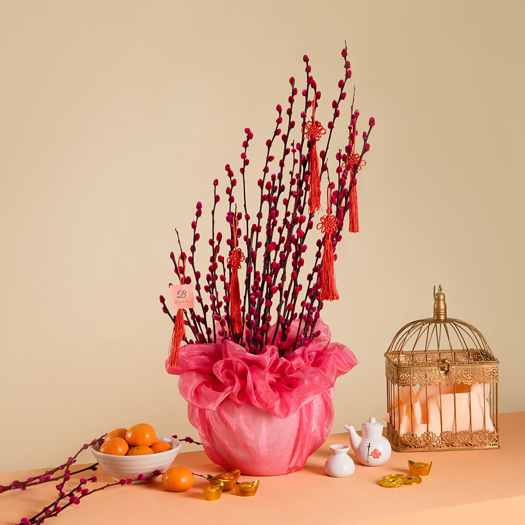 bloomthis-chinese-new-year-vase-pussy-willow-chinese-new-year-flowers-in-pot-2025-1080x1080-01