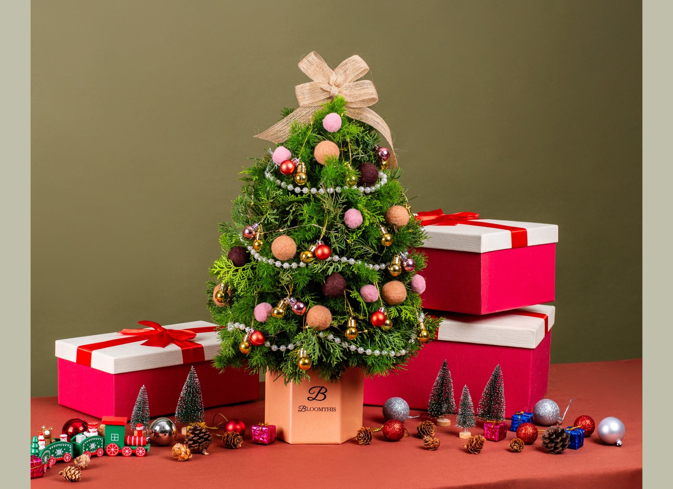 bloomthis-christmas-collection-usp-02