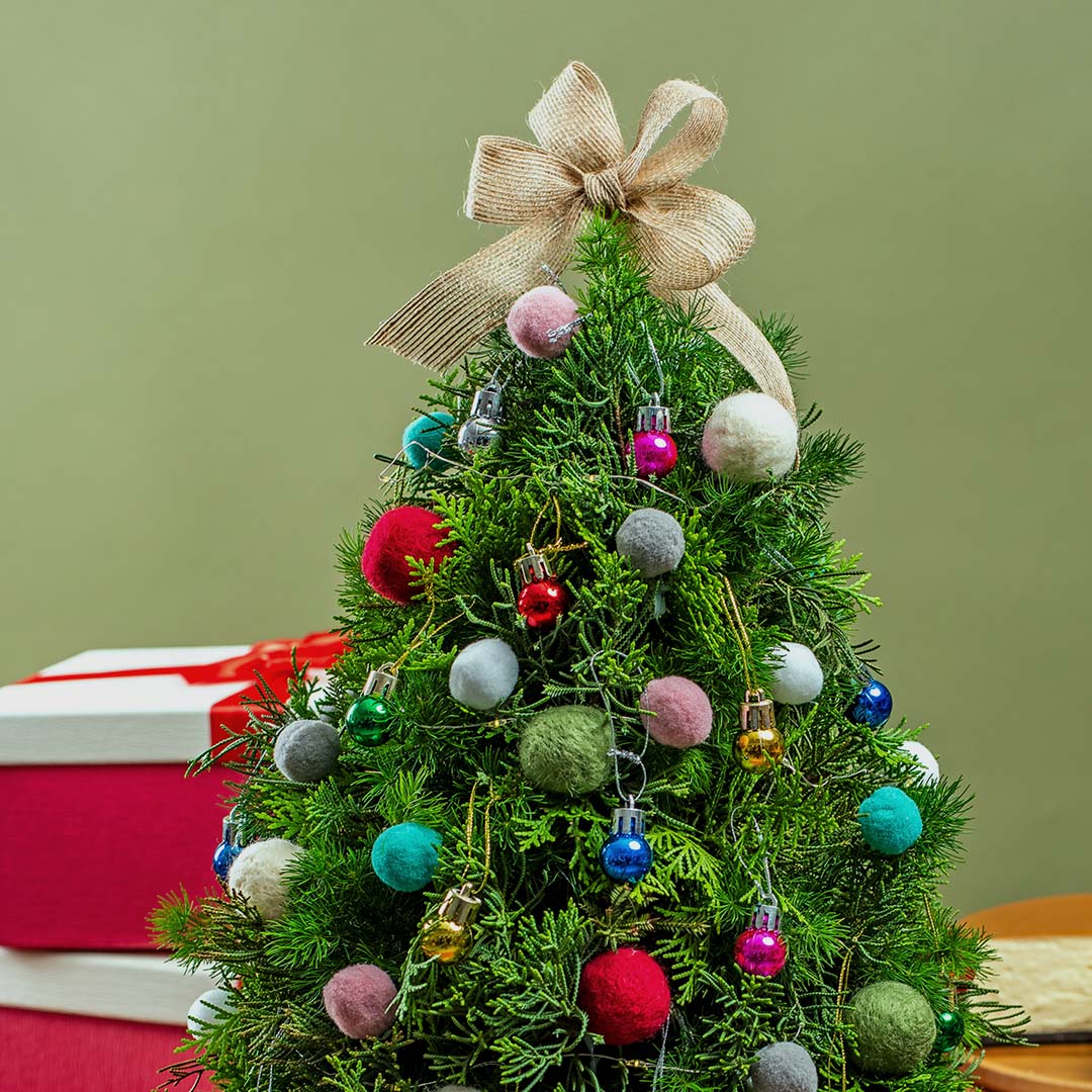 bloomthis-christmas-hat-box-jazzie-party-christmas-tree-flower-box-1080x1080-03