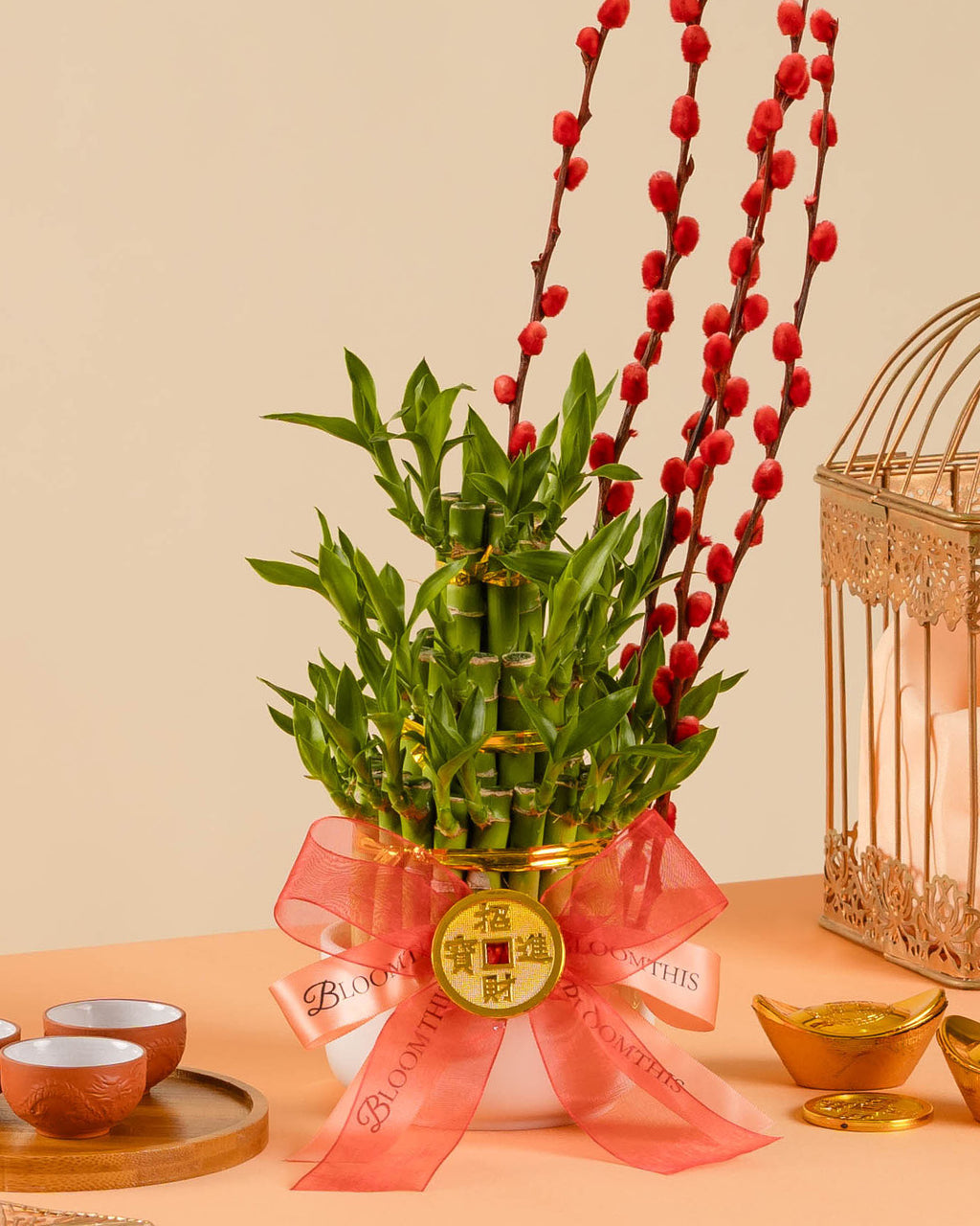Lucky Bamboo Chinese New Year Plant 2026 | Free Delivery