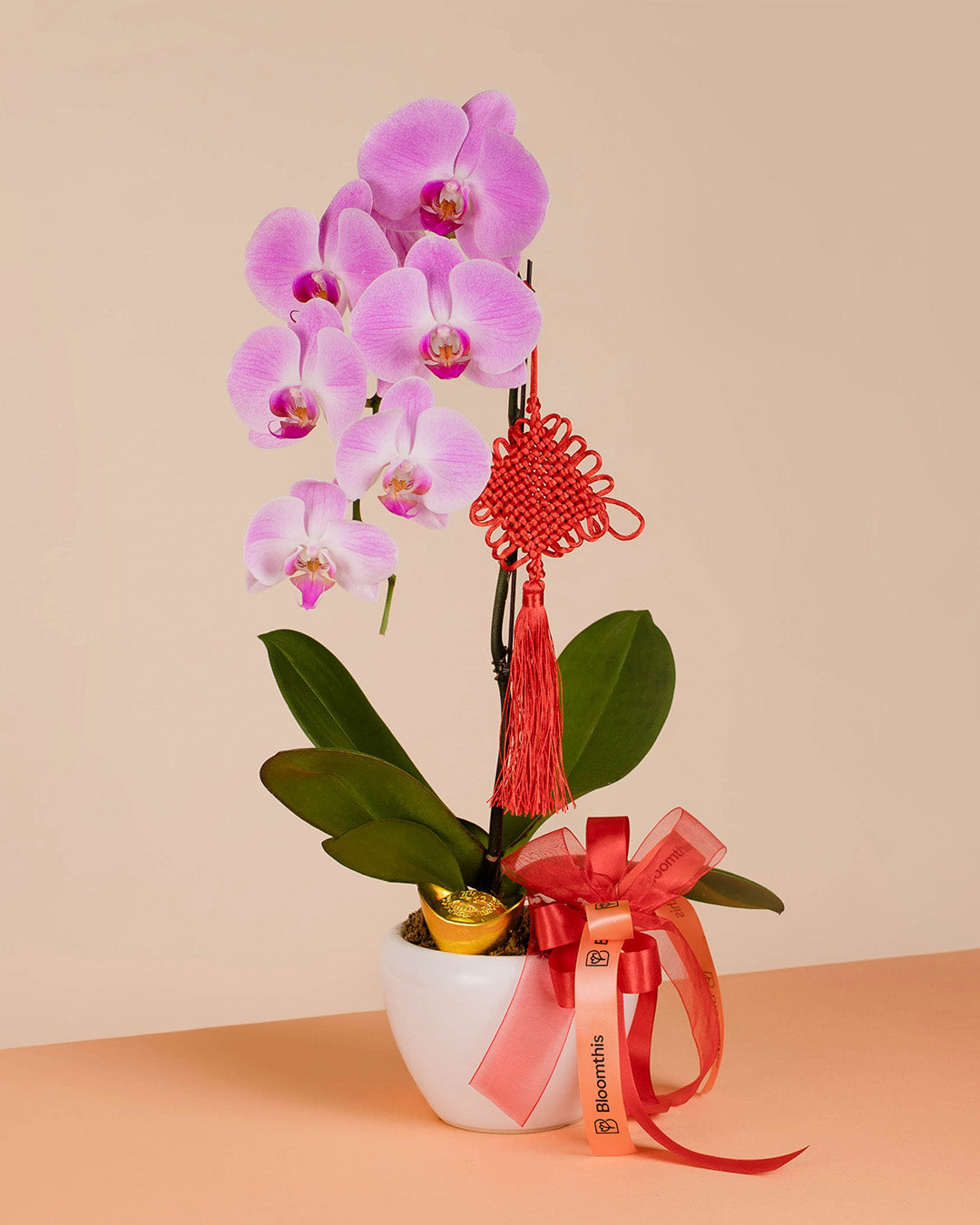 bloomthis-cny-plant-pink-cny-phalaenopsis-orchid-1-stalk-1080x1350-05