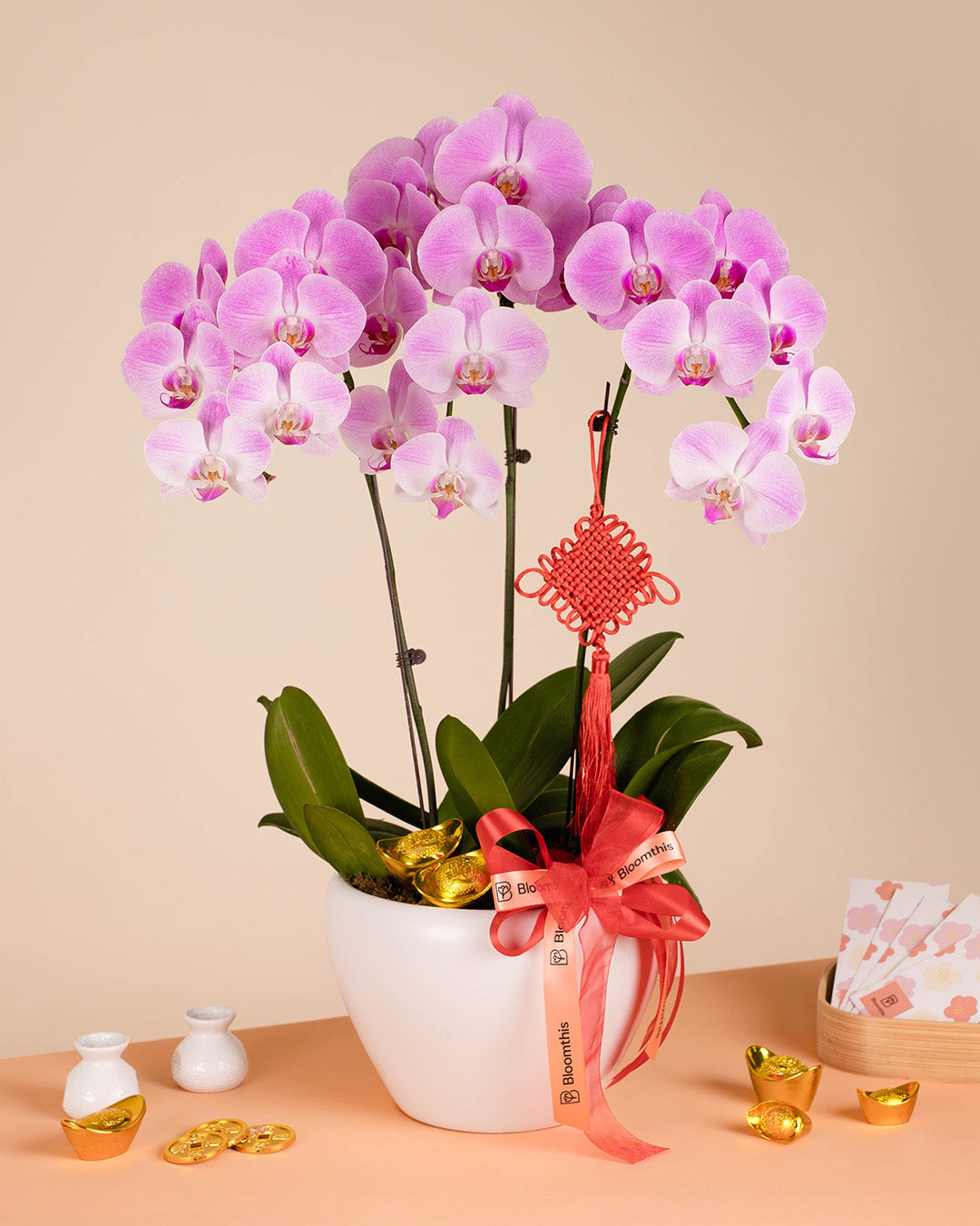 bloomthis-cny-plant-pink-cny-phalaenopsis-orchid-3-stalks-1080x1350-01