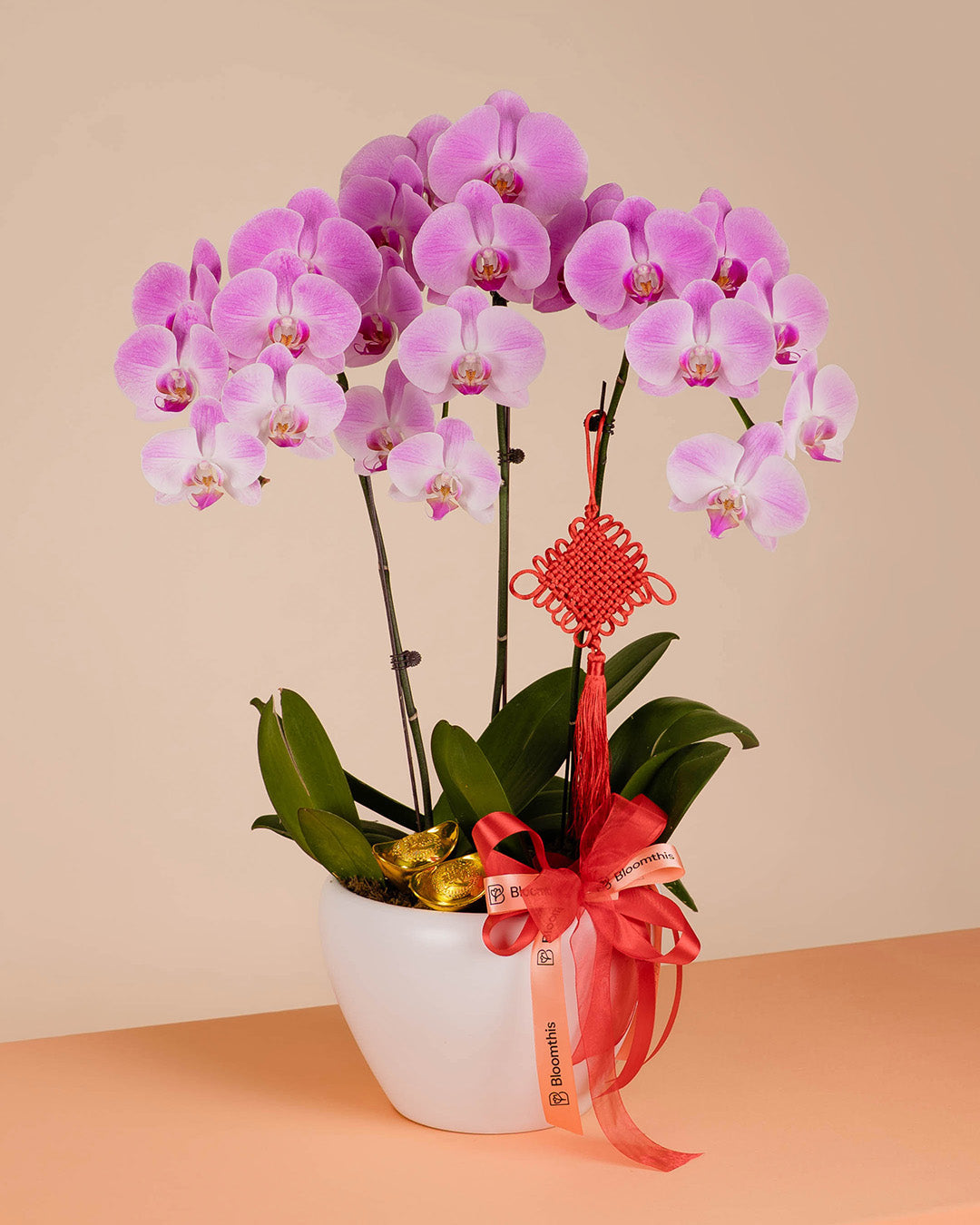 bloomthis-cny-plant-pink-cny-phalaenopsis-orchid-3-stalks-1080x1350-07