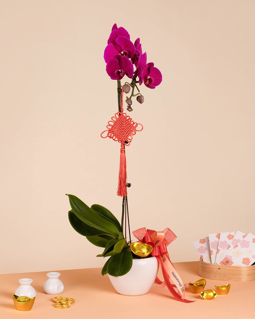 bloomthis-cny-plant-purple-cny-phalaenopsis-orchid-1-stalk-1080x1350-01