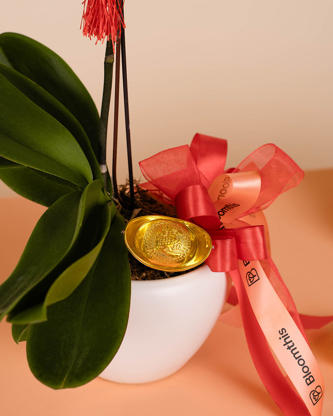 bloomthis-cny-plant-purple-cny-phalaenopsis-orchid-1-stalk-1080x1350-05