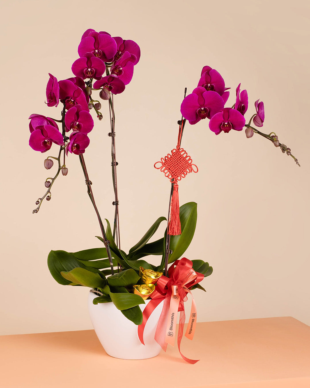 bloomthis-cny-plant-purple-cny-phalaenopsis-orchid-3-stalks-1080x1350-07