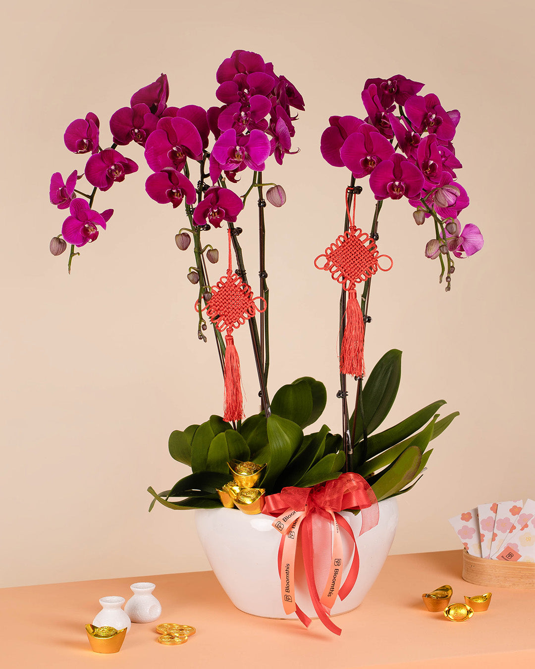 bloomthis-cny-plant-purple-cny-phalaenopsis-orchid-5-stalks-1080x1350-01