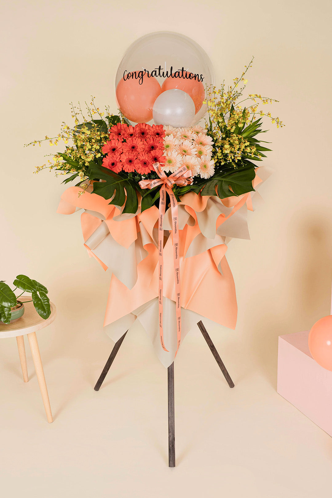 【M17】HYSFORM FLOWER STAND FLOWER STAND 6PANEL CAP | HYSFORM™ | VERTICAL GARAGE OFFICIAL