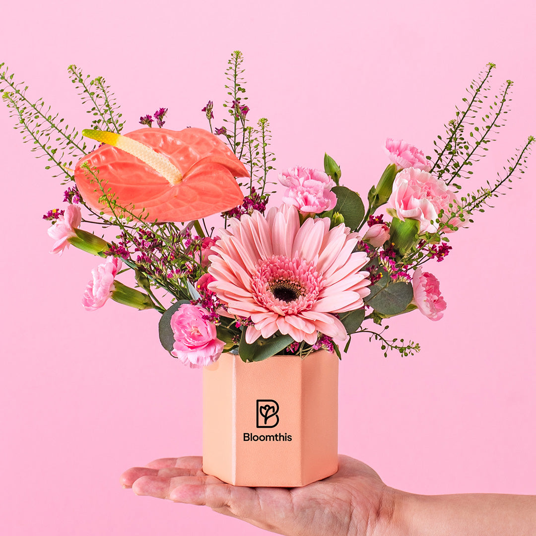 bloomthis-hat-box-ariel-gerbera-mini-flower-box-1080x1080-01_f623bf41-ee4f-4a55-b118-c133c41c6576