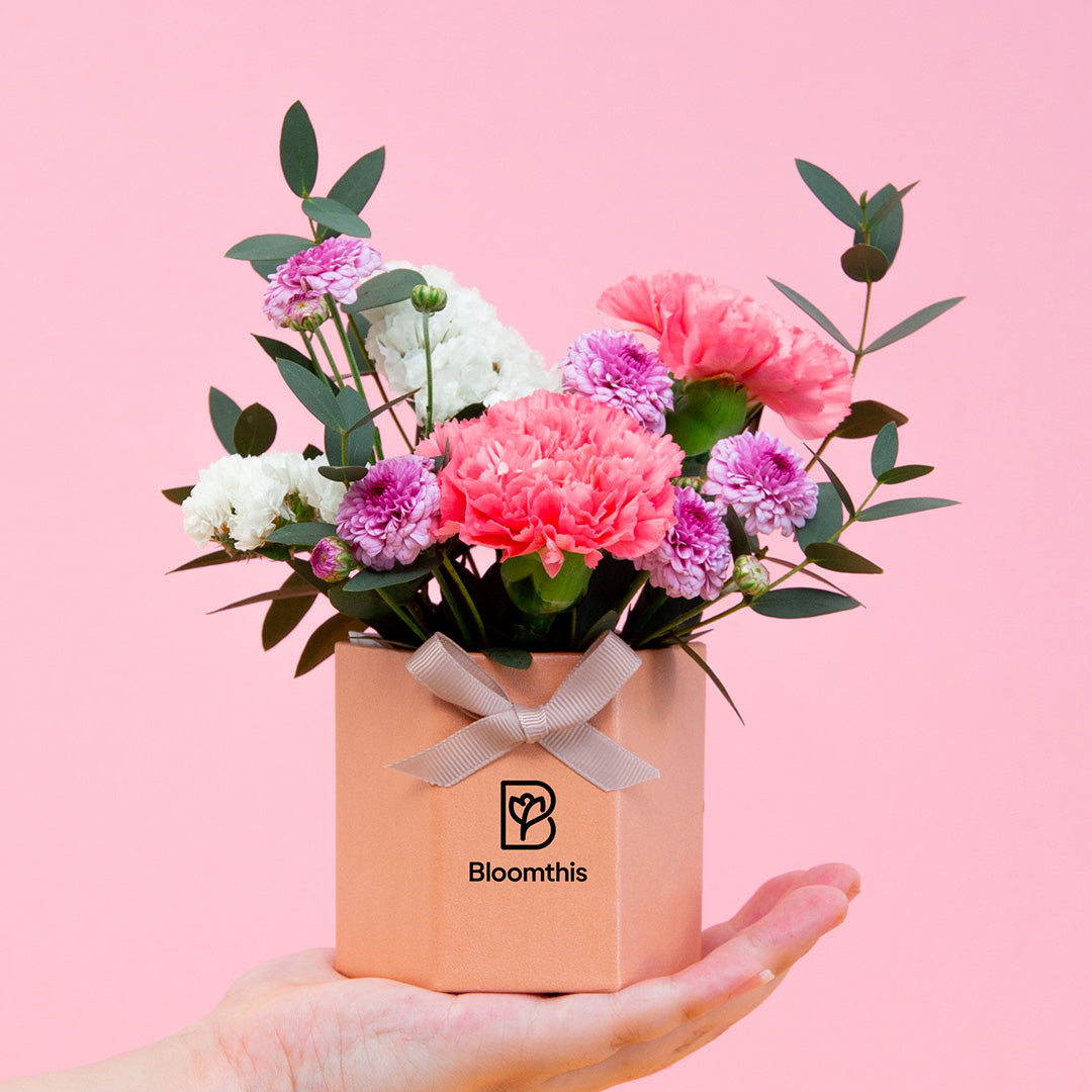 Chaya Carnation Mini Flower Box | Free Delivery | Bloomthis