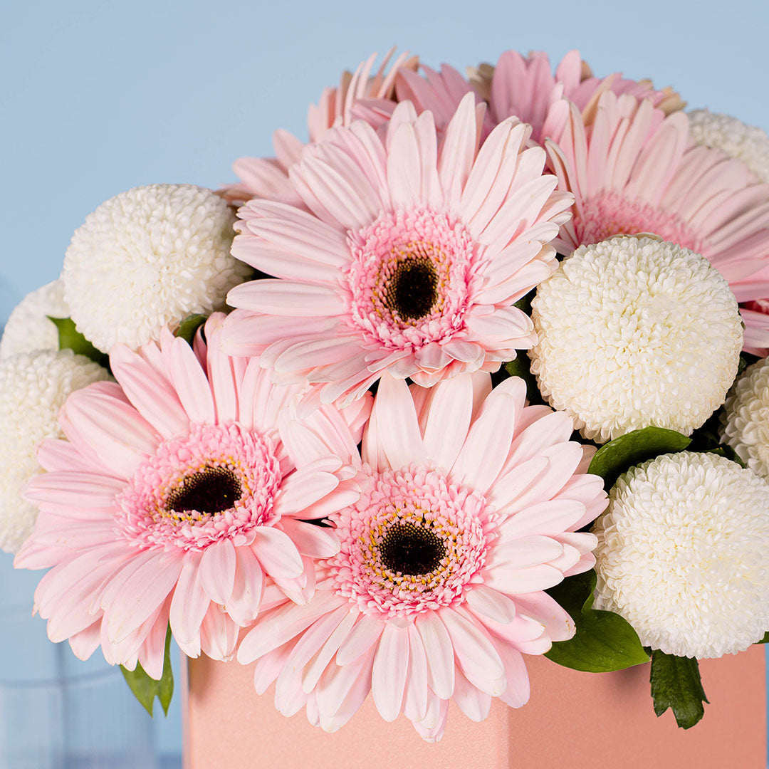 bloomthis-hat-box-grace-pink-gerbera-flower-box-1080x1080-05