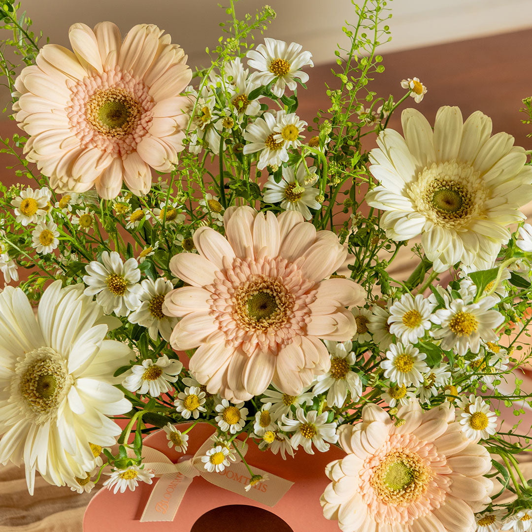 Hana White Gerbera Machino Flower Box