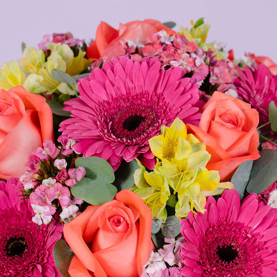 Matilda Gerbera & Rose Flower Box