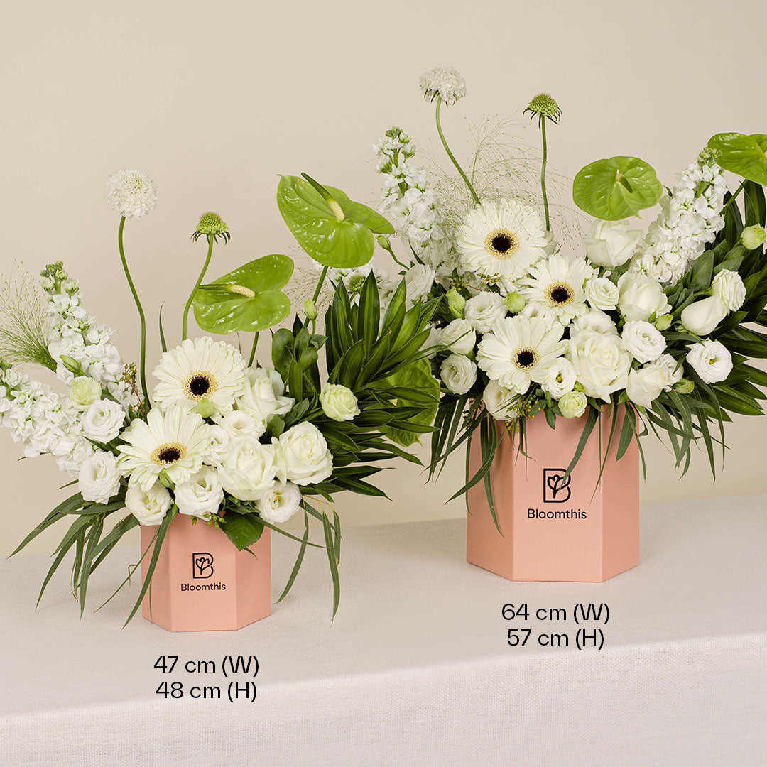 bloomthis-hat-box-no-filter-white-rose-flower-box-1080x1080-04