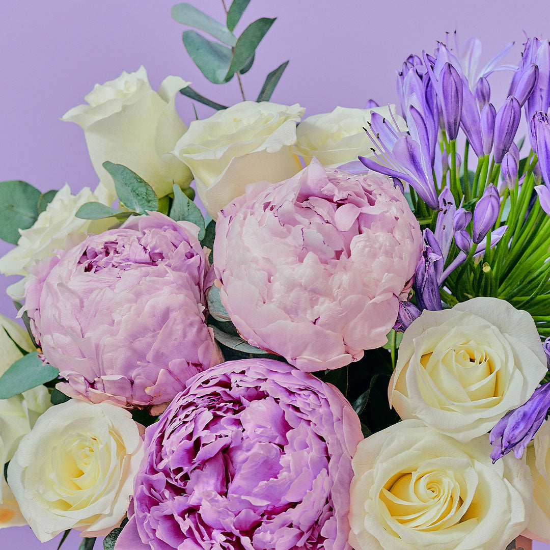 Percy Rose & Peony Flower Box | Free Delivery | Bloomthis