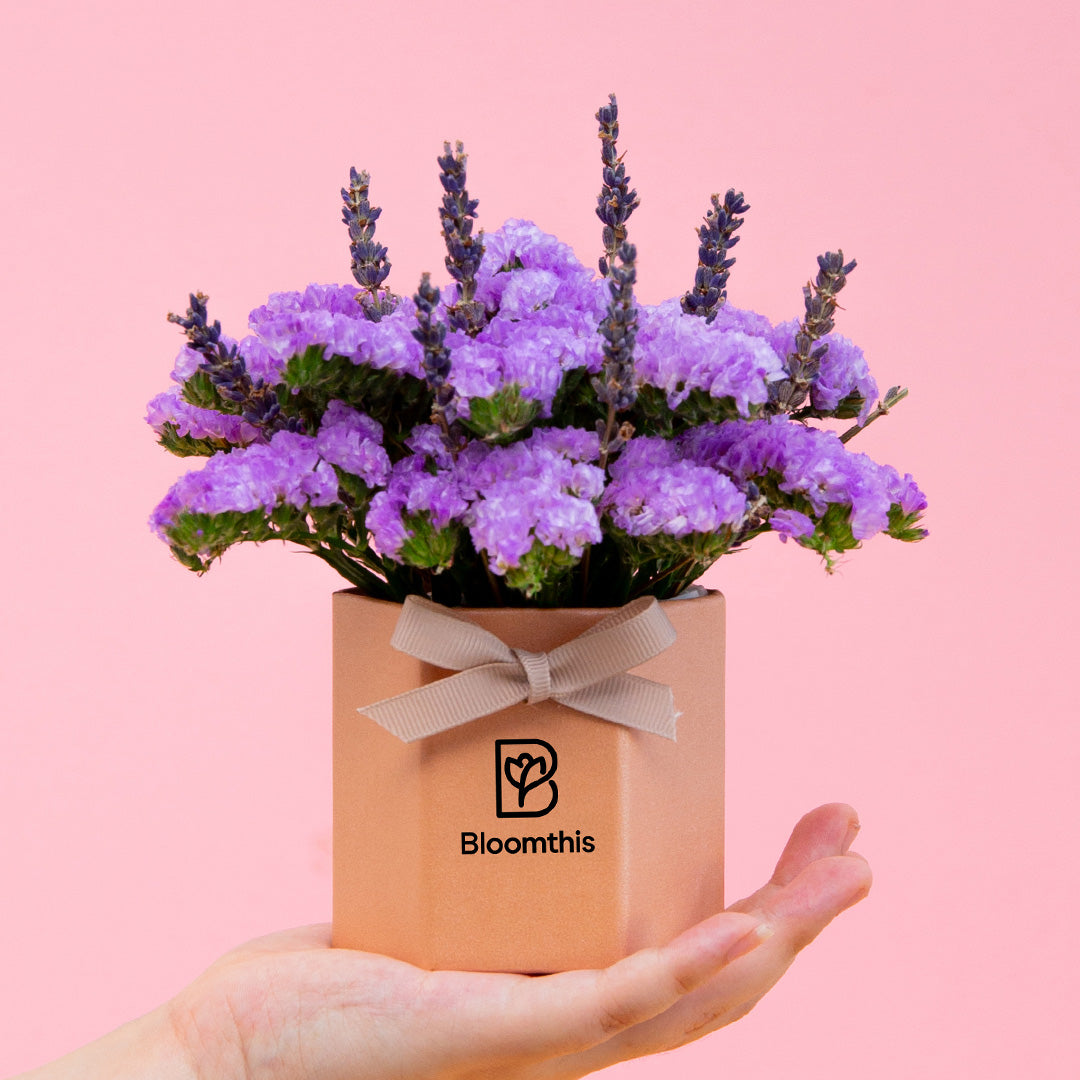bloomthis-hat-box-shamimi-statice-mini-flower-box-1080x1080-01_c27622d8-8dbf-4311-9ba9-005d4e3e28ba