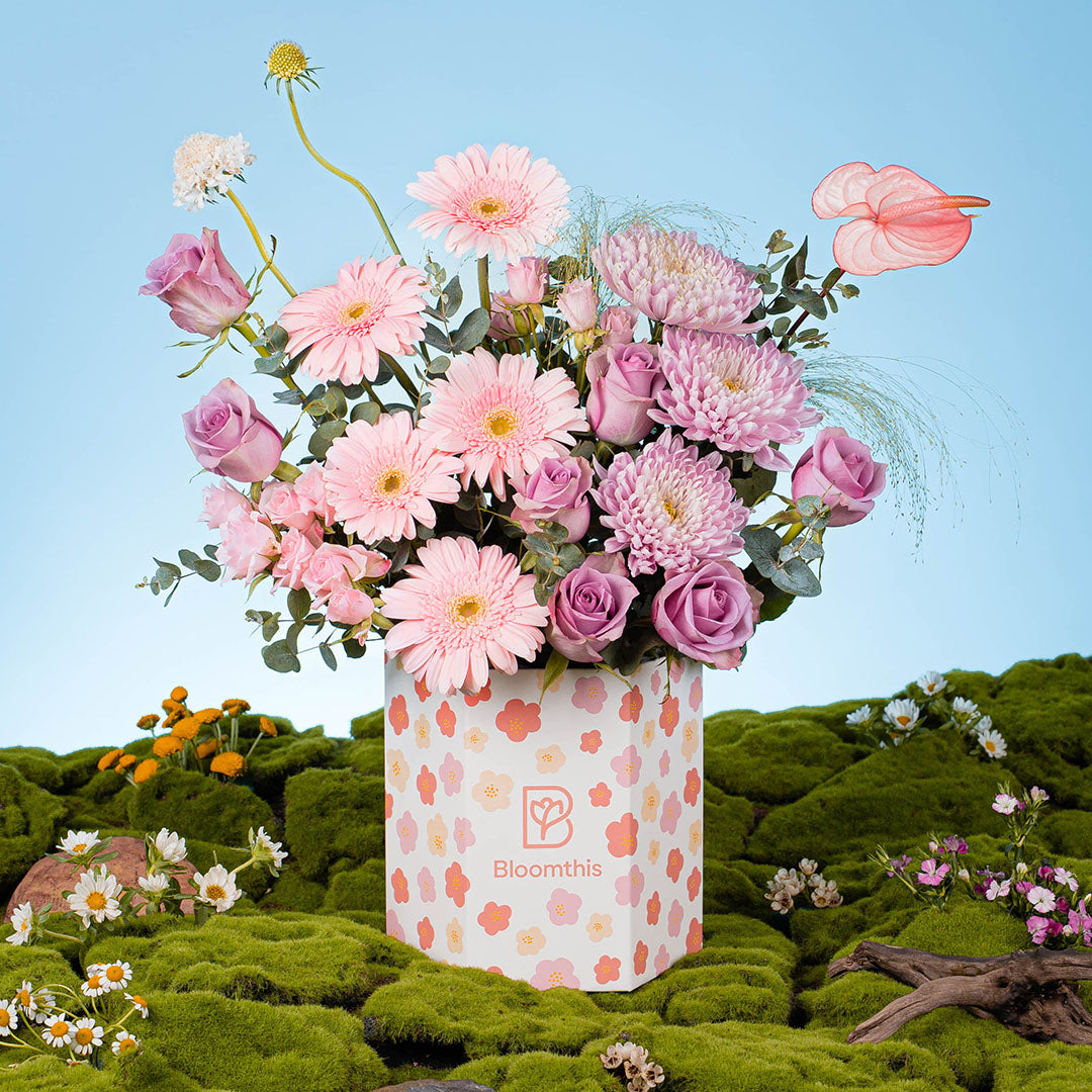 Spring Whimsy Ayame Pink Gerbera Flower Box | Free Delivery | Bloomthis