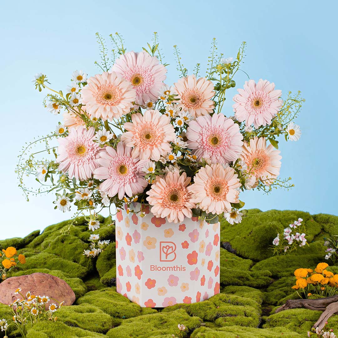 Spring Whimsy Hana Pink Gerbera Flower Box