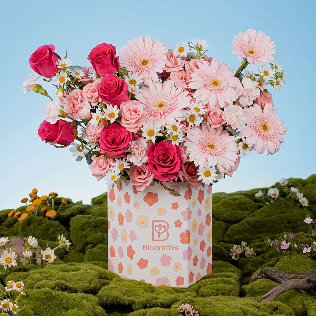 Spring Whimsy Zandra Pink Gerbera Flower Box | Free Delivery | Bloomthis