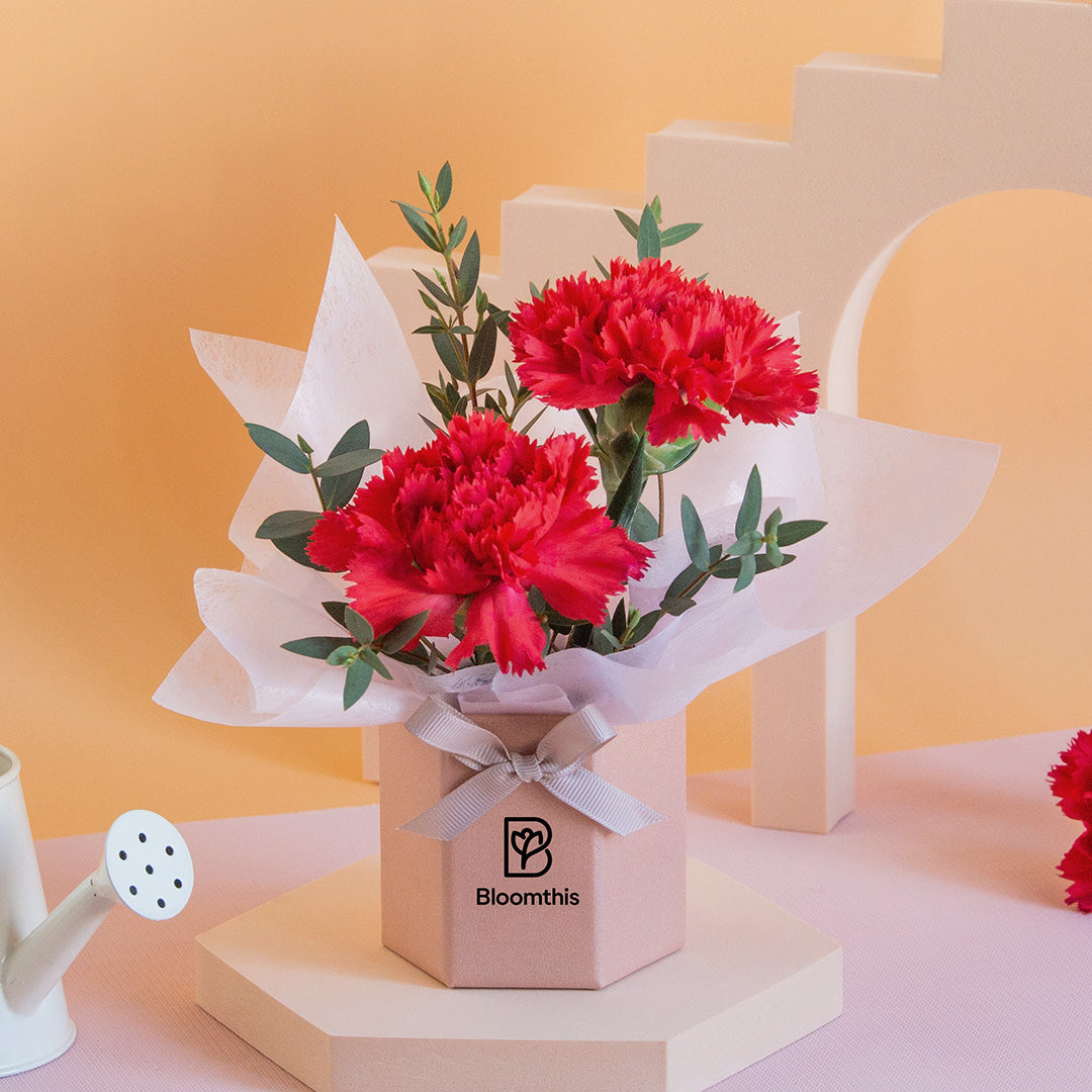 bloomthis-hat-box-wynona-carnation-mini-flower-box-1080x1080-03_7a9117da-dcc6-44ed-822a-cf72ef5fb03f