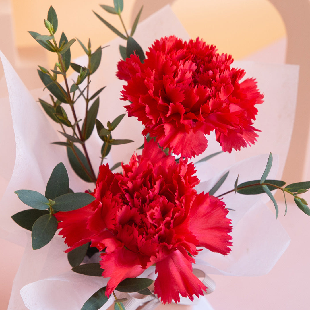 bloomthis-hat-box-wynona-carnation-mini-flower-box-1080x1080-05_14c9faae-59b2-4789-9b62-6c57d866bcdd