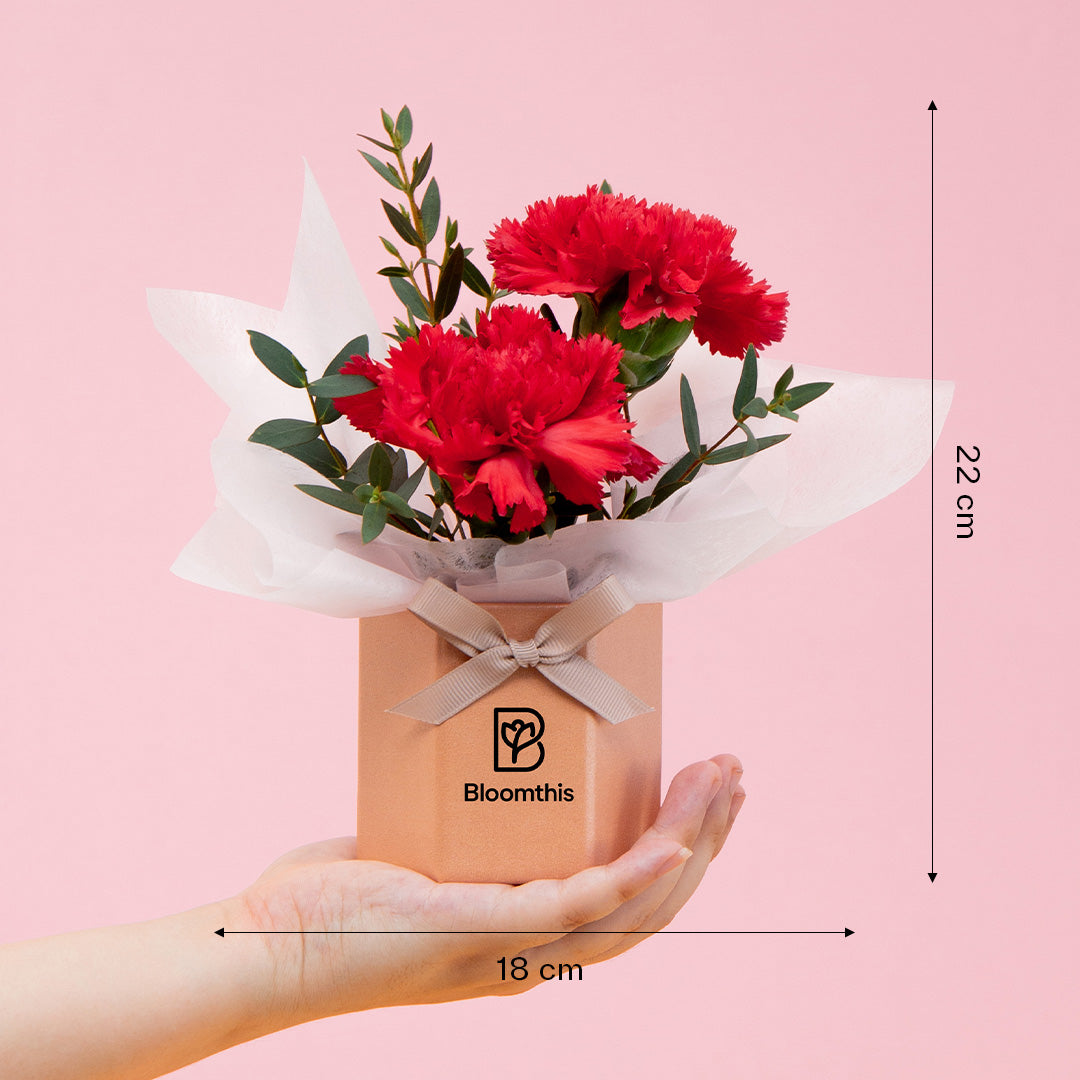 Wynona Carnation Mini Flower Box | Free Delivery | Bloomthis