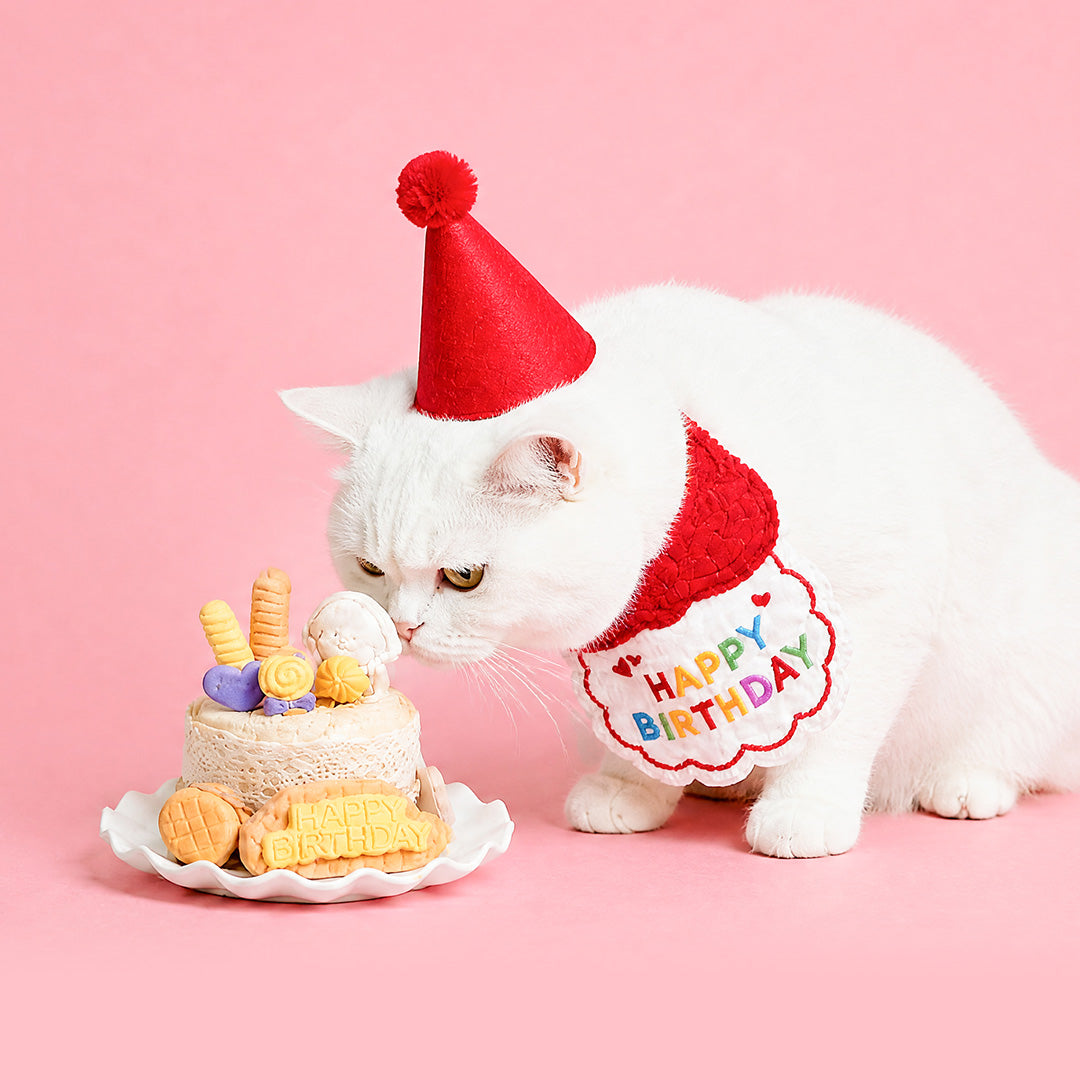 bloomthis-package-pet-birthday-cheer-celebration-pack-1080x1080-02_bf1bb79d-3748-427a-a9ff-c0526cef1085