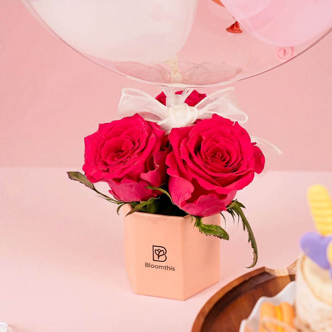 bloomthis-package-pet-birthday-joy-celebration-pack-1080x1080-05_f3ab466e-bc01-456e-8043-6000f3cdb322
