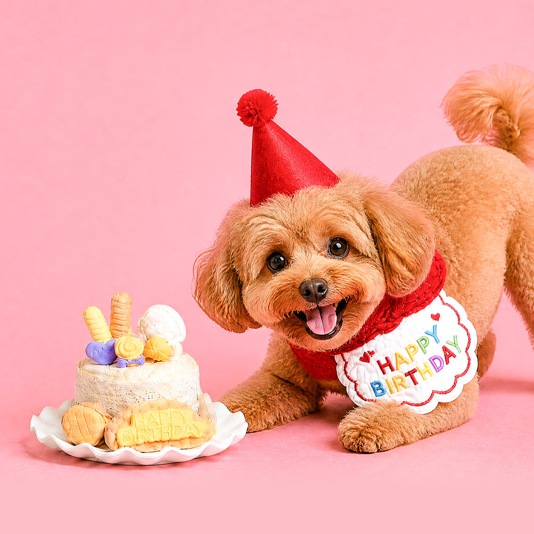 bloomthis-package-pet-birthday-party-celebration-pack-1080x1080-02_3be7fc9e-886d-4045-be8c-42d29fe63564