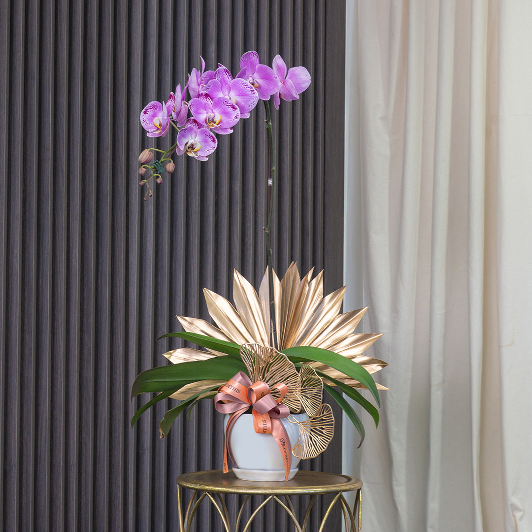bloomthis-plant-jodie-pink-phalaenopsis-orchid-1-stalk-1080x1080-01