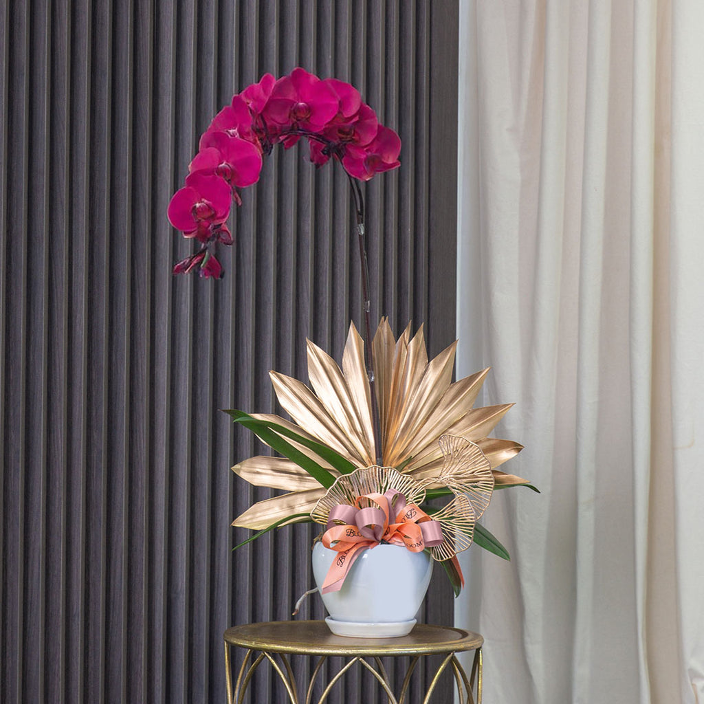 bloomthis-plant-jodie-purple-phalaenopsis-orchid-1-stalk-1080x1080-01