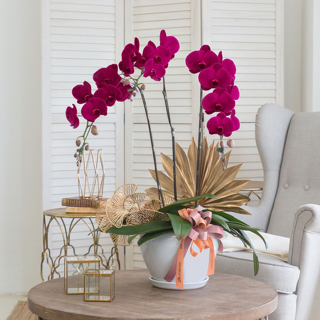bloomthis-plant-jodie-purple-phalaenopsis-orchid-3-stalks-1080x1080-01