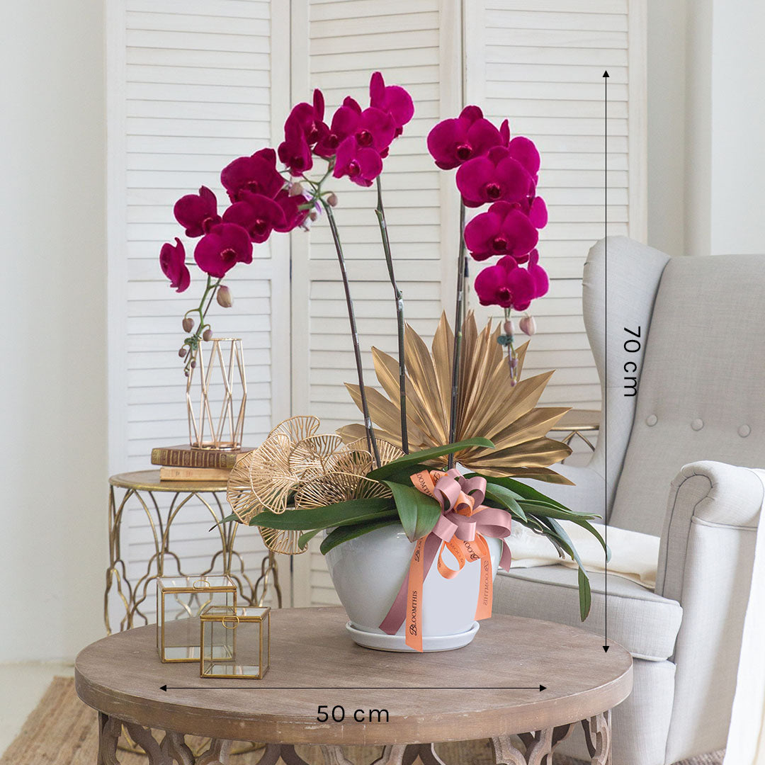 bloomthis-plant-jodie-purple-phalaenopsis-orchid-3-stalks-1080x1080-03
