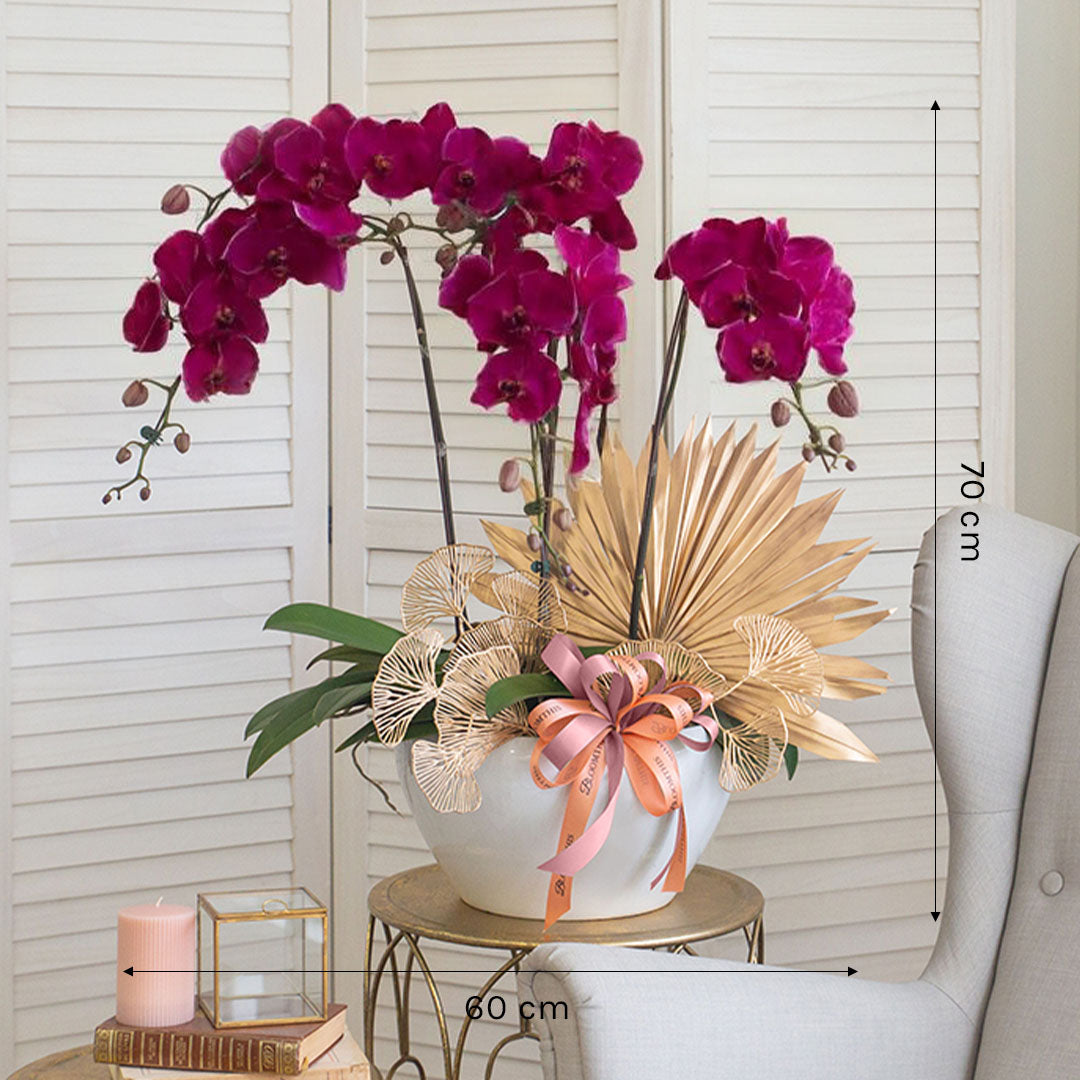 bloomthis-plant-jodie-purple-phalaenopsis-orchid-5-stalks-1080x1080-03