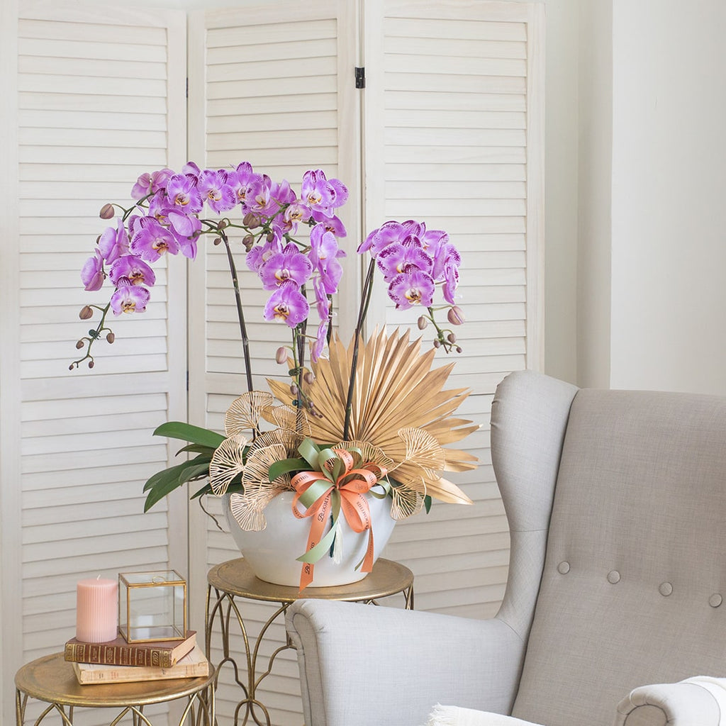 bloomthis-plant-raya-phalaenopsis-orchid-5-stalks-1080x1080-01_8bfb2059-f644-4305-adeb-5b0c0e6c9442