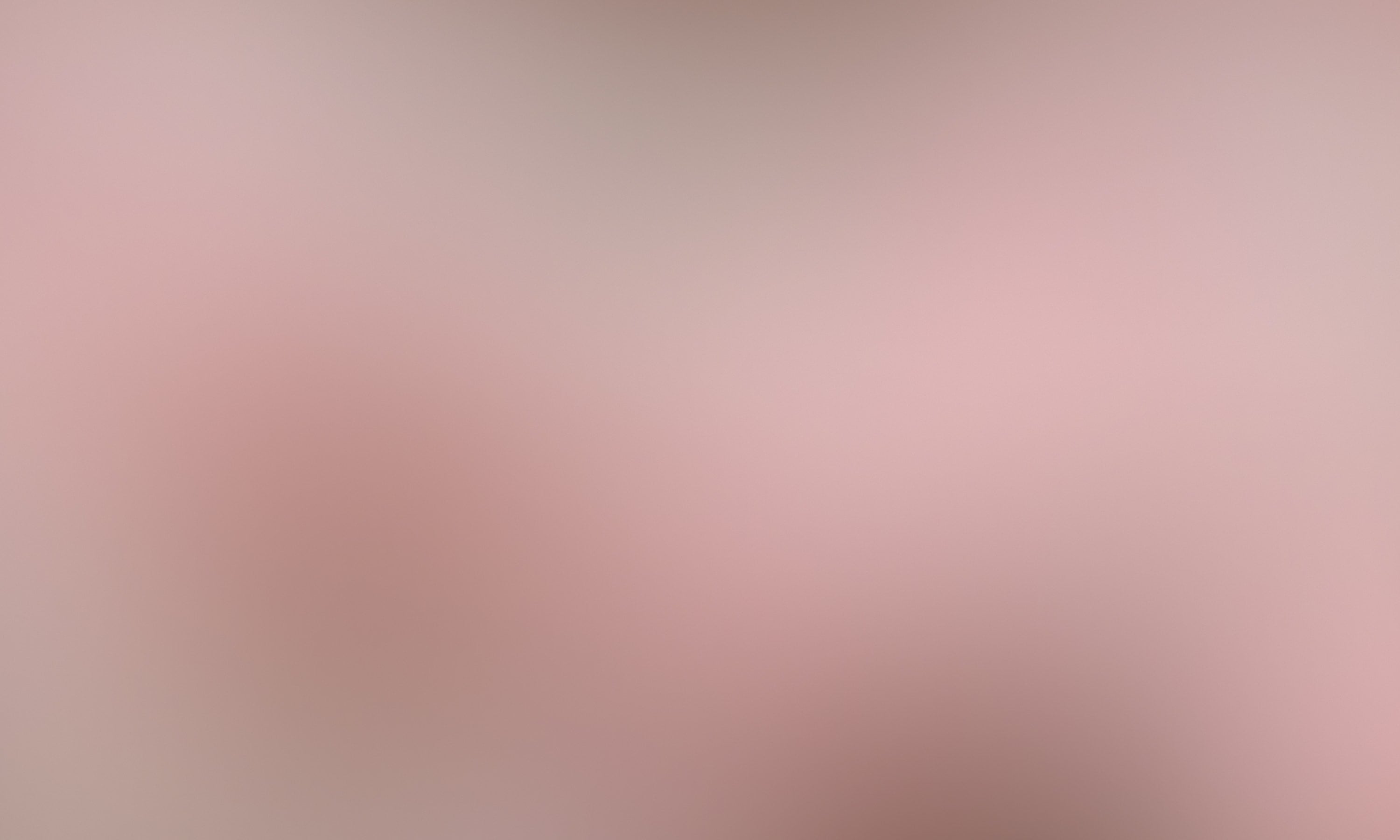 bloomthis-xms25-promise-background