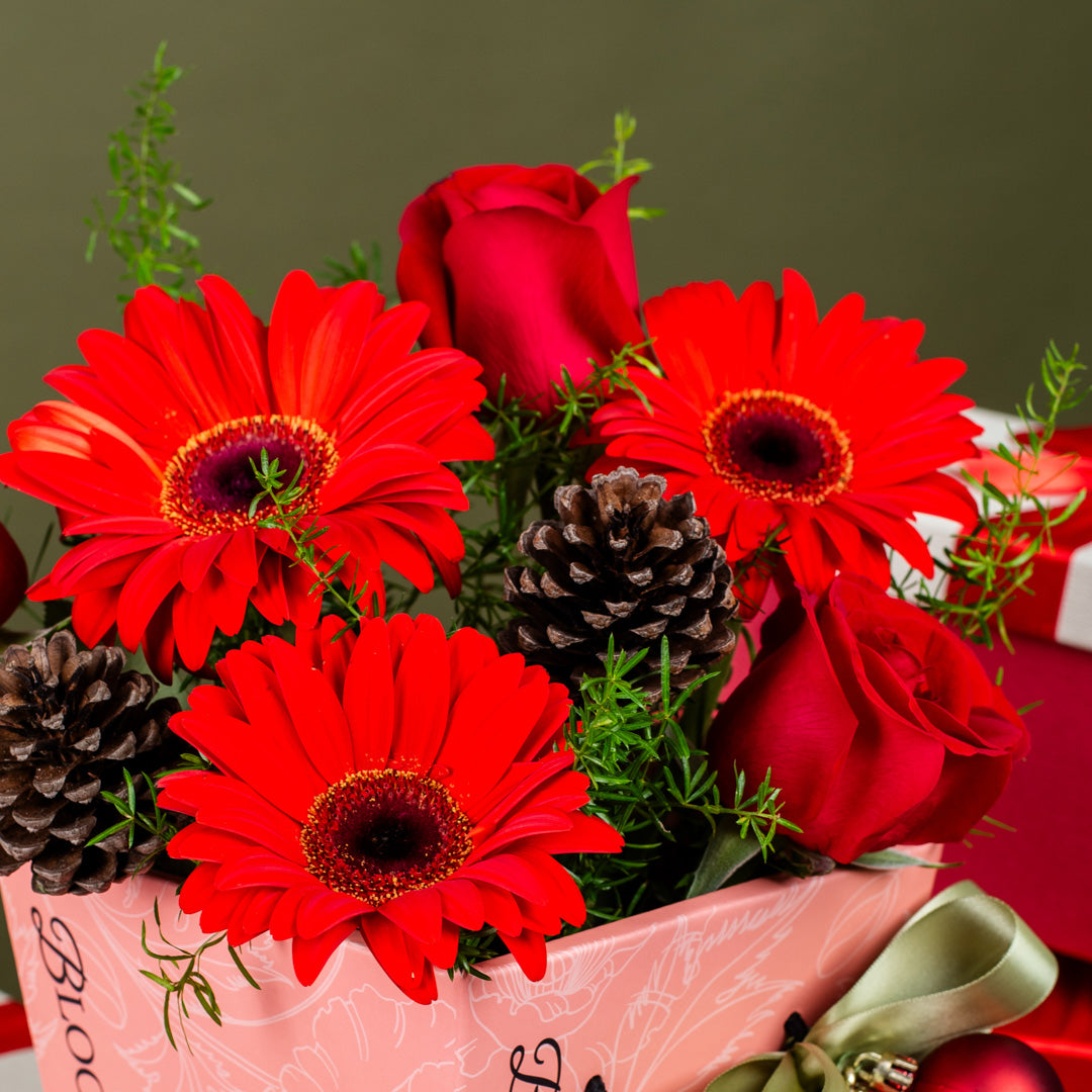 Angelica Red Gerbera Christmas Mini BloomBag