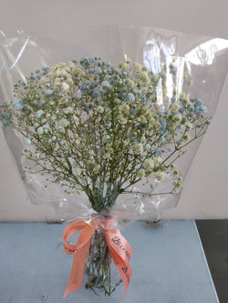 Pick-Me-Up Billie Baby's Breath