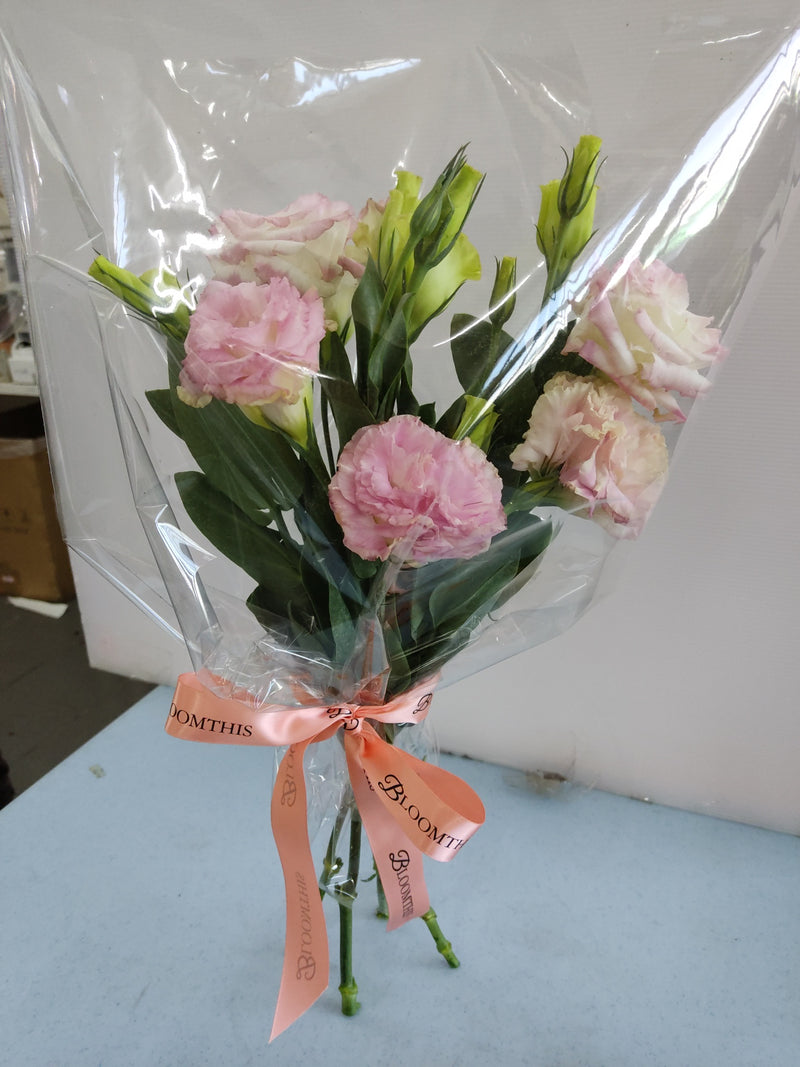 Pick-Me-Up Ellie Pink Eustoma