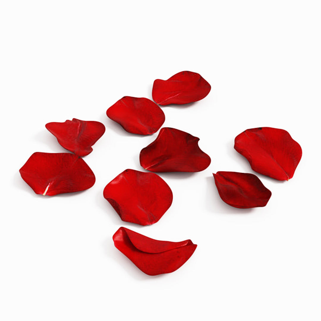 Falling Red Rose Petals Isolated On White Vector Image, 41% OFF