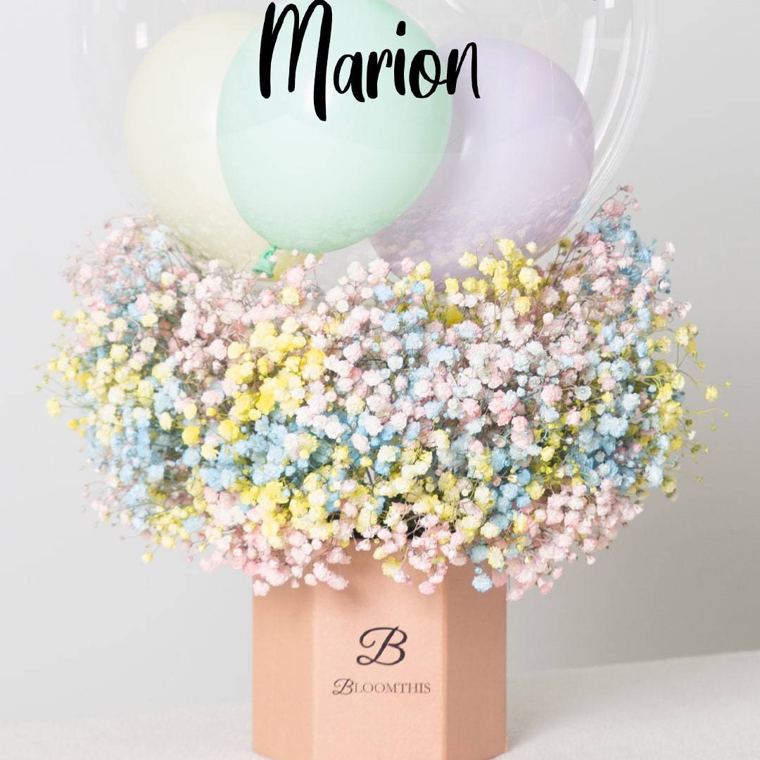 Sierra Balloon Flower Box (SC)