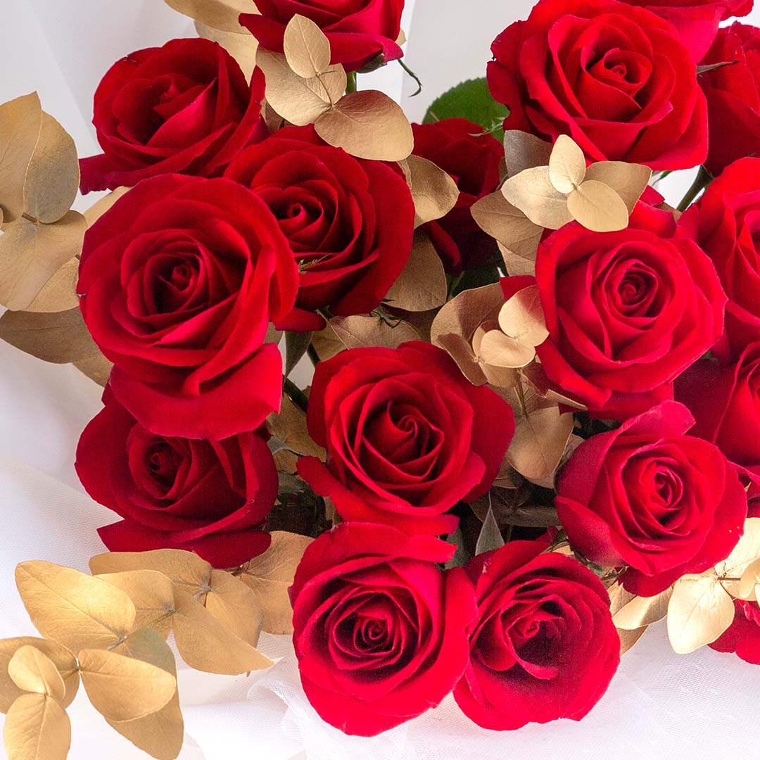 Charlotte Red Rose Bouquet (MDV)