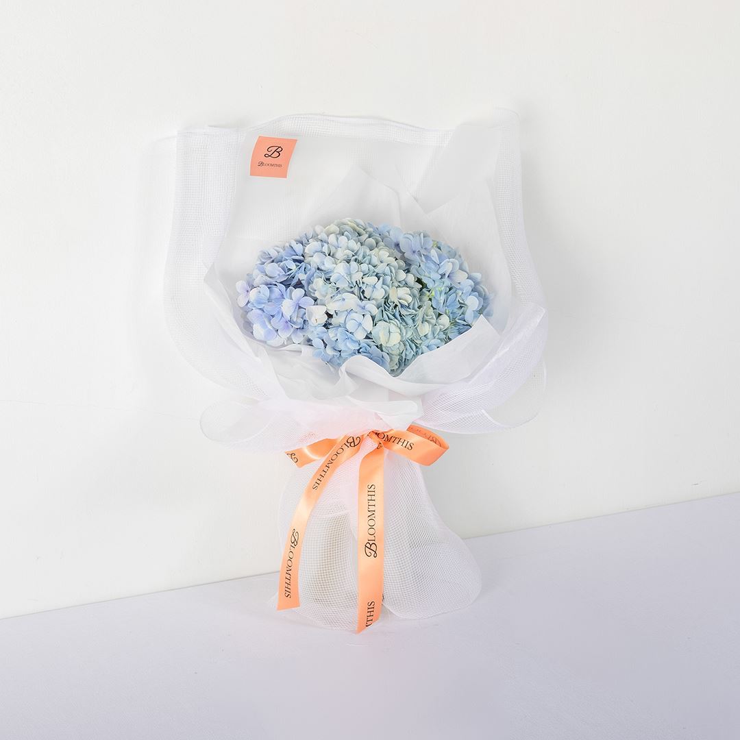 Madelyn White Blue Hydrangea Bouquet | Free Delivery | Bloomthis