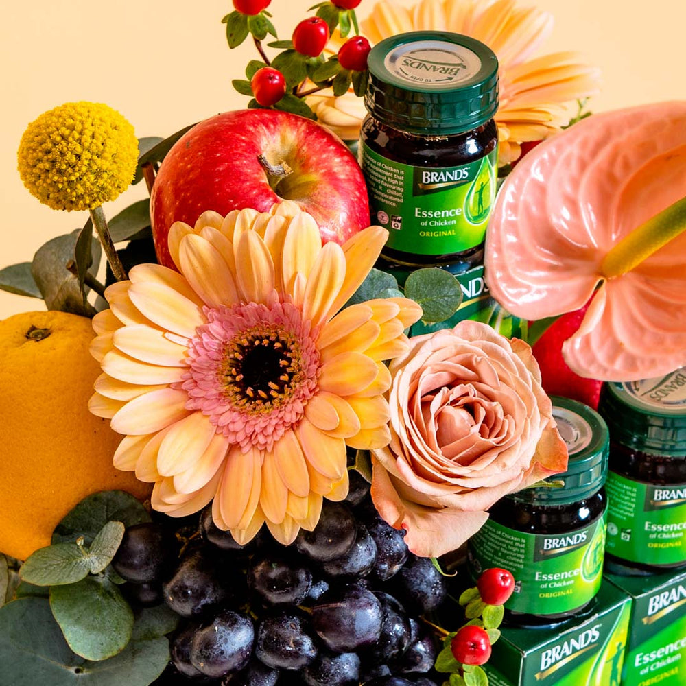 Luisa Get Well Gift Basket with Chicken Essence Free Delivery BloomThis